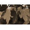 Fototapeta duże liście w sepii