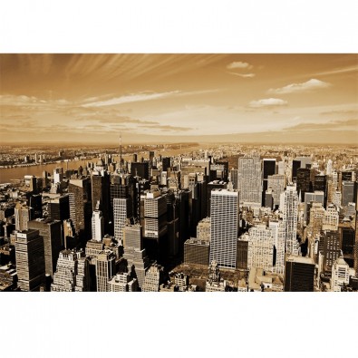 Fototapeta Manhattan z lotu ptaka