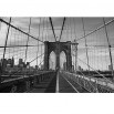 Fototapeta kolorowy most Brookliński w kolorze czarno białym