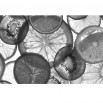 Fototapeta plasterki owoców - zmiana koloru na czarno biały