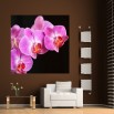 Fototapeta fioletowa orchidea na ścianie salonu
