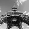 Fototapeta La tour Eiffel