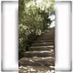 Fototapeta betonowe schody