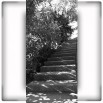 Fototapeta betonowe schody czarno biała
