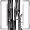 Fototapeta zielone liście bambusowe w kolorze czarno białym