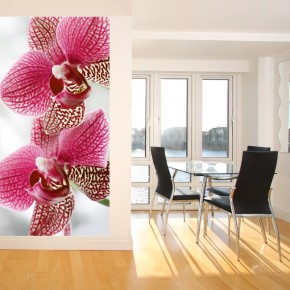 Fototapeta na wąską ścianę z kwiatami orchidei