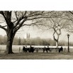 Fototapeta Central Park