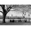 Fototapeta Central Park w kolorze czarno białym