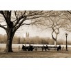 Fototapeta Central Park w sepii