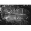 Fototapeta wodospad między drzewami w koloze czarno białym