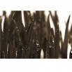 Fototapeta jasno zielona trawa w kolorze sepii