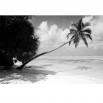 Fototapeta tropikalna wyspa - zmiana koloru na czarno biały