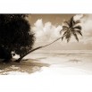 Fototapeta tropikalna wyspa - zmiana koloru na sepię