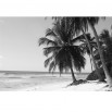 Fototapeta tropikalna plaża - zmiana koloru na czarno biały