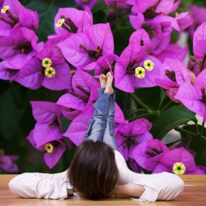 Fototapeta fioletowe kwiaty