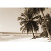 Fototapeta tropikalna plaża - zmiana koloru na sepię