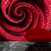 Tapeta na ścianę czerwona róża