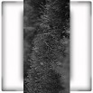 Fototapeta żywopłot w kolorze czarno białym