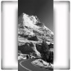 Fototapeta doga w górach | Czarno biała