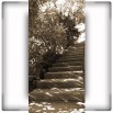 Fototapeta betonowe schody w sepii