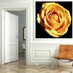 Fototapeta z motywem kremowej róży do białego korytarza