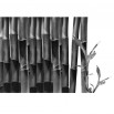 Fototapeta orient bambusów w kolorze czarno białym