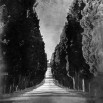 Fototapeta włoski krajobraz w kolorze czarno białym