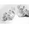 Fototapeta fioletowe lilie - zmiana koloru na czarno biały