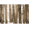Fototapeta drzewa zimą w kolorze sepii