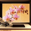 Fototapeta łososiowa orchidea - aranżacja na szafie wnękowej