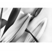 Fototapeta brązowy liliowiec - zmiana koloru na czarno biały