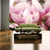 Fototapeta wiosna magnoliowca na ścianę do salonu