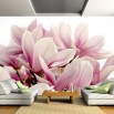 Fototapeta magnoliowa etiuda do salonu