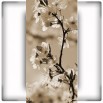 Fototapeta białe kwiaty na wąską ścianę