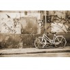 Fototapeta mania rowerowania w sepii