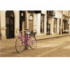 Fototapeta pink bicykl