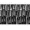 Fototapeta kłącza bambusowe w kolorze czarno białym