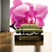 Fototaepta sonata orchidei zaaranżowana do salonu