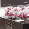 Fototapeta pąki magnolii zaaranżowana do kuchni