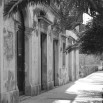 Fototapeta palma w uliczce - czarno biała