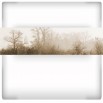 Fototapeta mgła na łące w kolorze sepii
