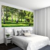 Fototapeta brzozowa łąka w białej sypialni
