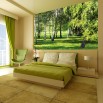 Fototapeta brzozowa łąka - ozdoba ściany w sypialni