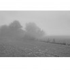Fototapeta mgła na polu - zmiana koloru na czarno biały