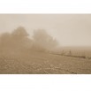 Fototapeta mgła na polu - zmiana koloru na sepię