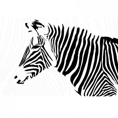 AS_Czarna zebra