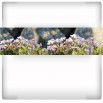 Fototapeta Małe kwiaty - panoramiczna