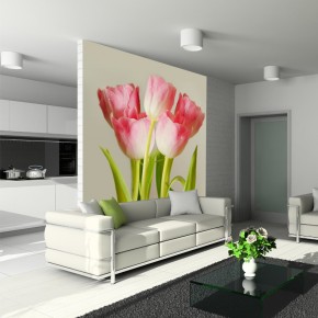 Fototapeta różowe tulipany