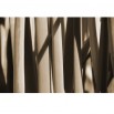 Fototapeta szczypiorek w sepii