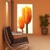 Fototapeta tulipan na wąską ścianę